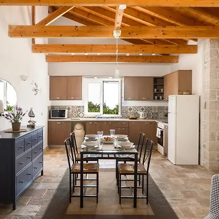 Barba Yannis Vilă *